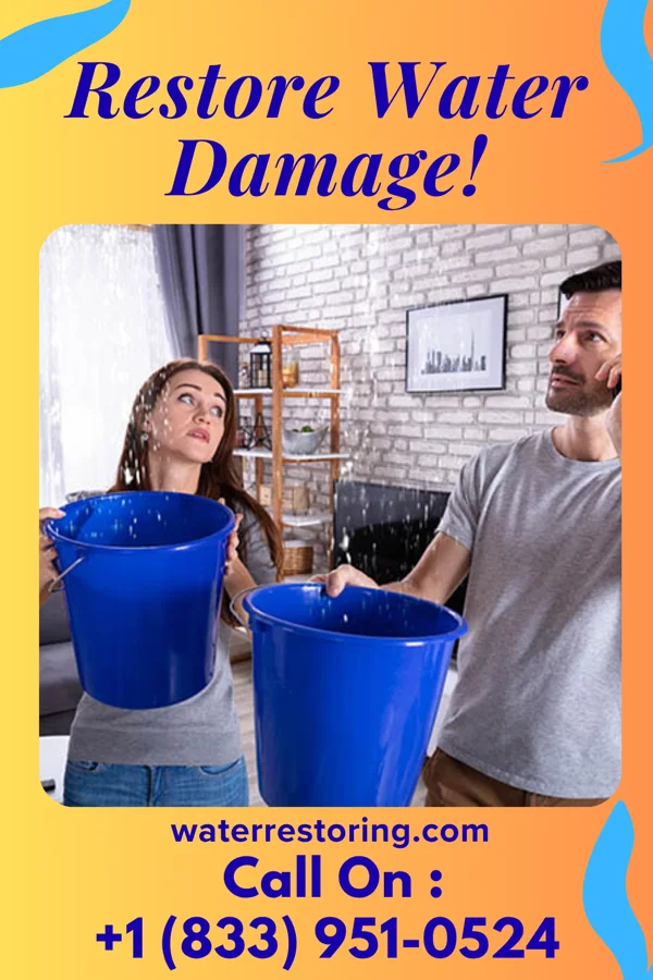 water restoration Citywide Water Mitigation Contractors Farrell